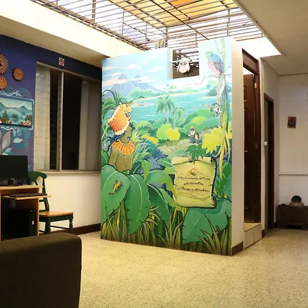 Hostal Los Volcanes-3